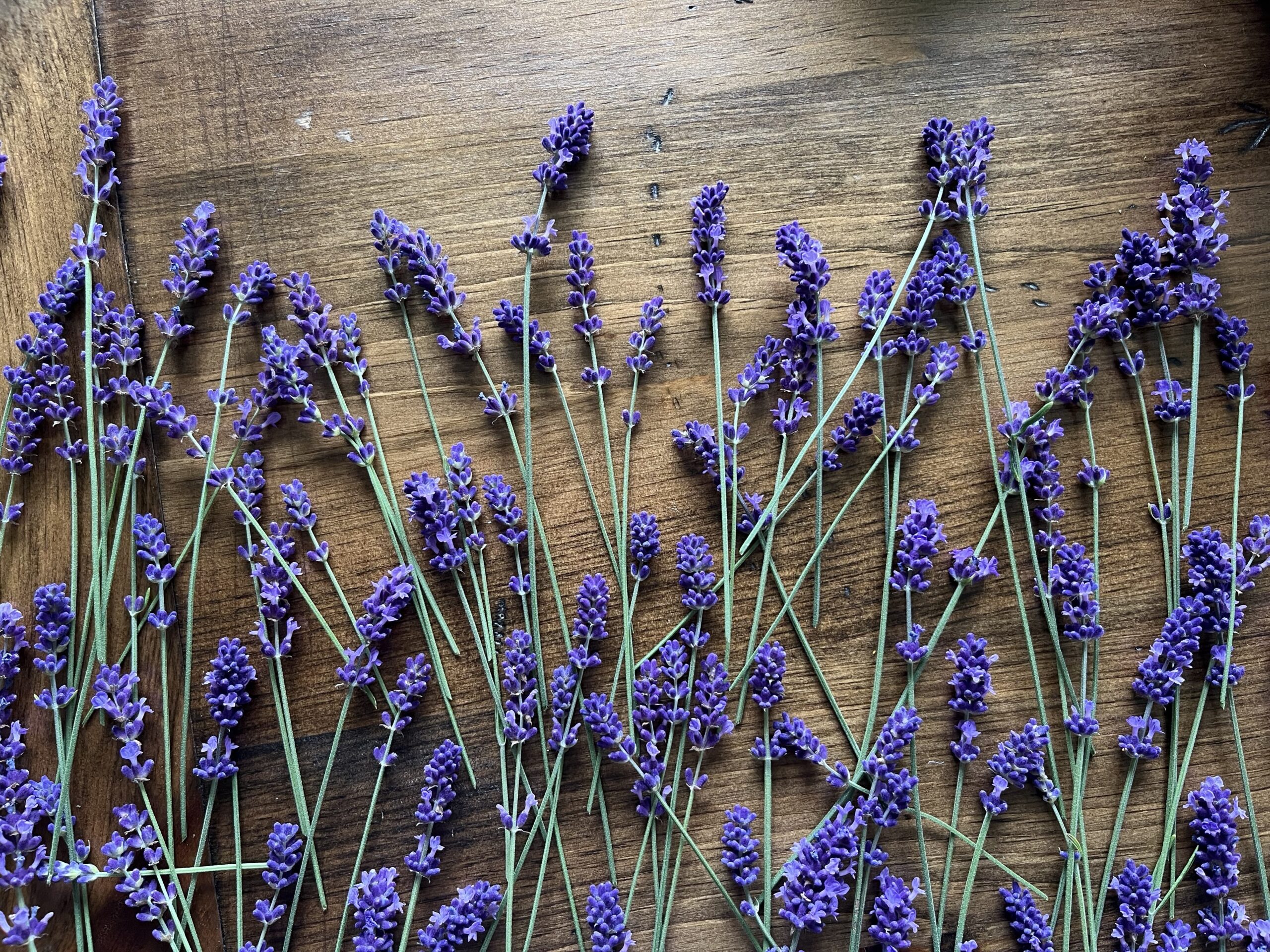 Life happens. Yarn helps. (Usually)