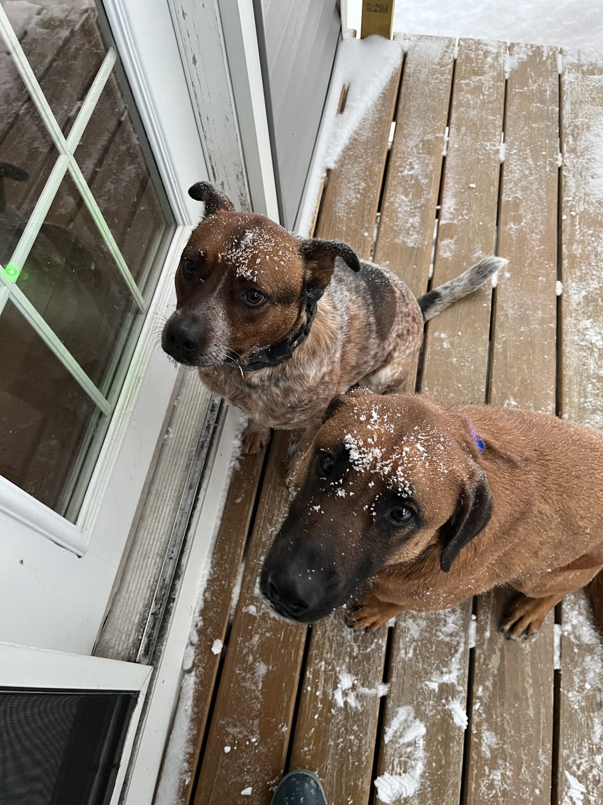 New Look! : Part Two and THE STORM