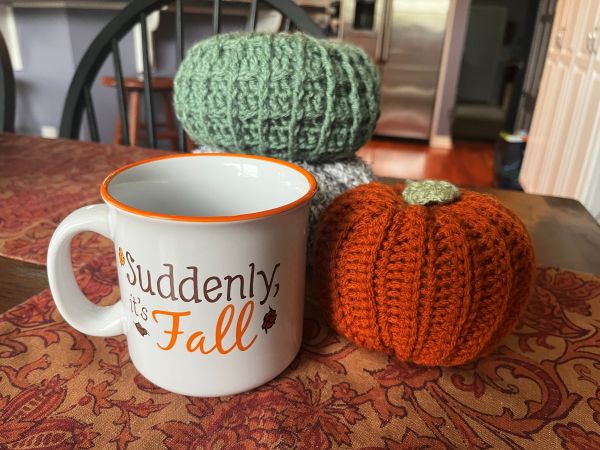 Embracing Fall: Knitting, Camping, and Seasonal Joys