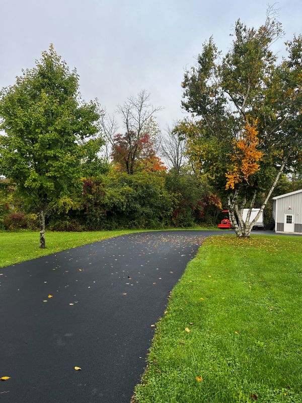 MORE Embracing Fall: Changing Leaves and Cozy Activities
